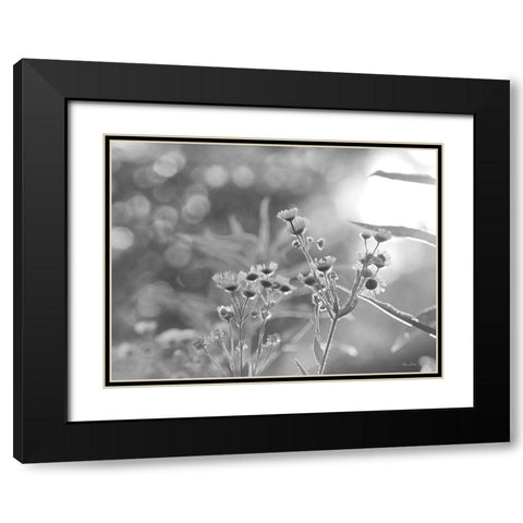 Wild Flowers III Black Modern Wood Framed Art Print with Double Matting by Deiter, Lori