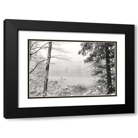 Silence is Beautiful Black Modern Wood Framed Art Print with Double Matting by Deiter, Lori