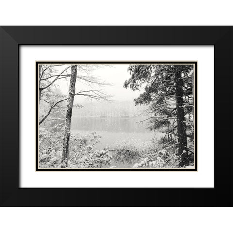 Silence is Beautiful Black Modern Wood Framed Art Print with Double Matting by Deiter, Lori