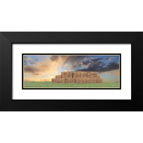 Haystack Harvest Black Modern Wood Framed Art Print with Double Matting by Deiter, Lori
