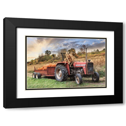 Pumpkin Harvest Black Modern Wood Framed Art Print with Double Matting by Deiter, Lori