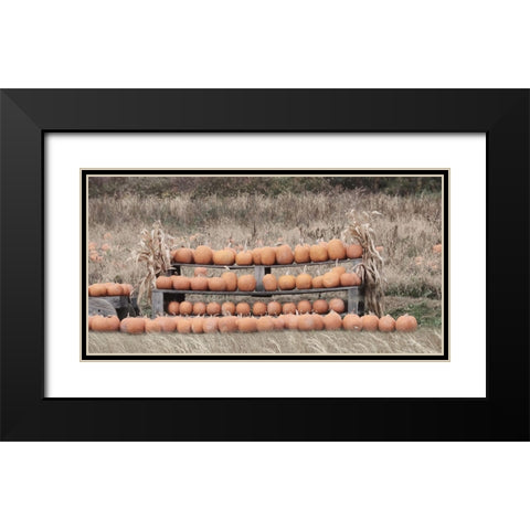 Pumpkin Picking Black Modern Wood Framed Art Print with Double Matting by Deiter, Lori