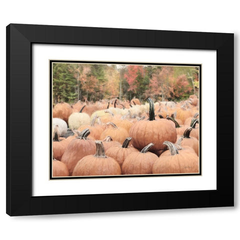 The Perfect Pumpkin Black Modern Wood Framed Art Print with Double Matting by Deiter, Lori