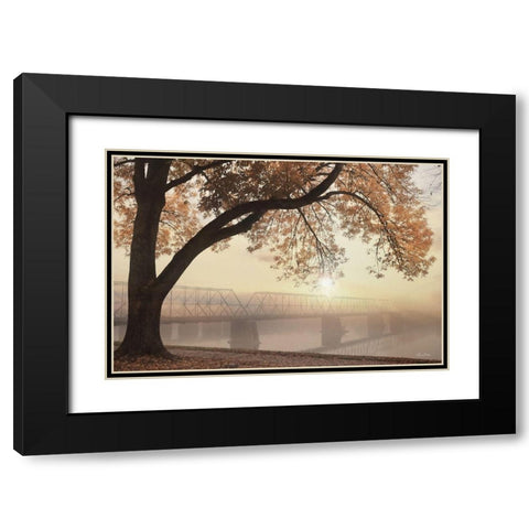 Golden Moments Black Modern Wood Framed Art Print with Double Matting by Deiter, Lori