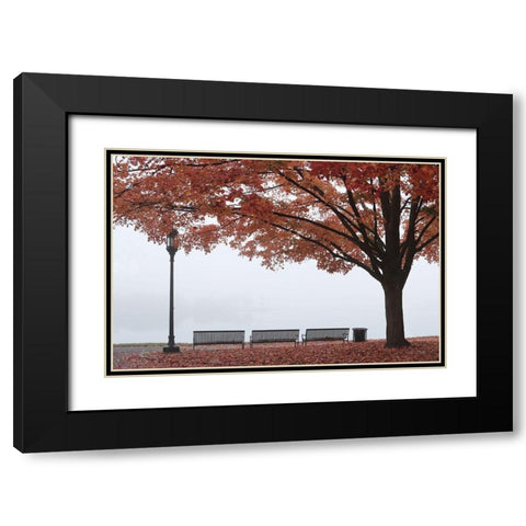 A Place to Dream Black Modern Wood Framed Art Print with Double Matting by Deiter, Lori