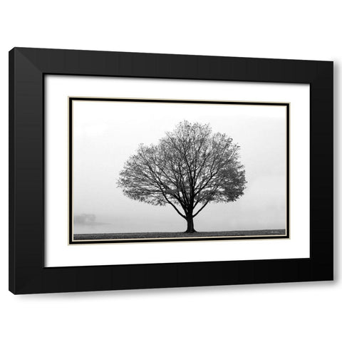 Flying Solo Black Modern Wood Framed Art Print with Double Matting by Deiter, Lori