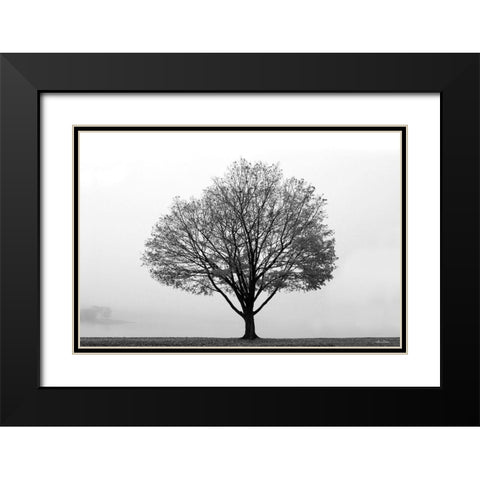 Flying Solo Black Modern Wood Framed Art Print with Double Matting by Deiter, Lori