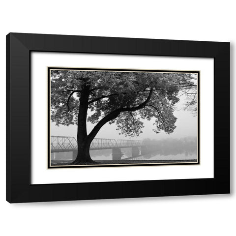 Move On Black Modern Wood Framed Art Print with Double Matting by Deiter, Lori