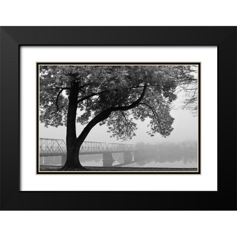 Move On Black Modern Wood Framed Art Print with Double Matting by Deiter, Lori