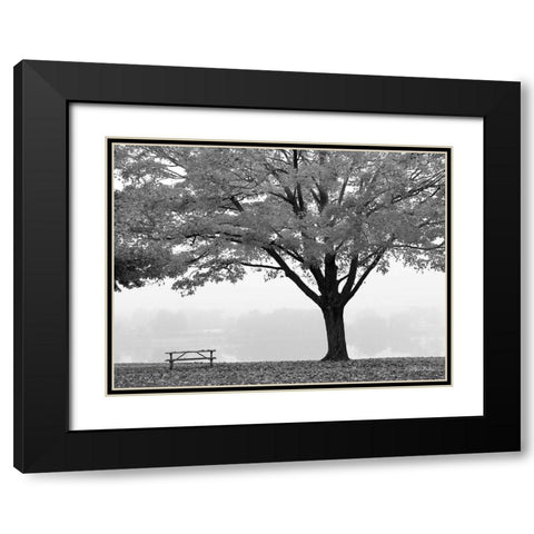 The Empty Table Black Modern Wood Framed Art Print with Double Matting by Deiter, Lori