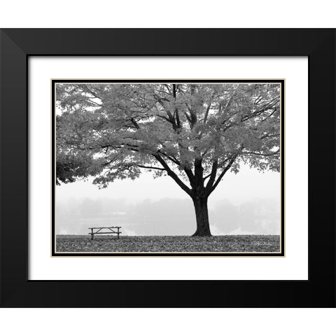 The Empty Table Black Modern Wood Framed Art Print with Double Matting by Deiter, Lori