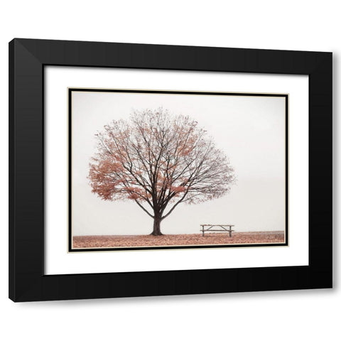 Barely There Black Modern Wood Framed Art Print with Double Matting by Deiter, Lori