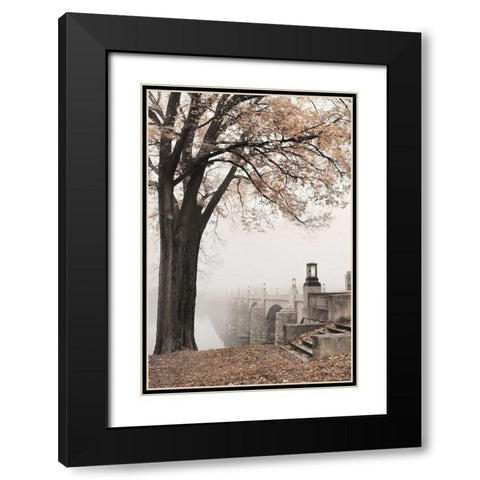Market Street in Autumn Black Modern Wood Framed Art Print with Double Matting by Deiter, Lori