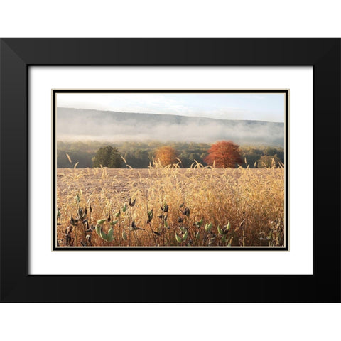 Autumn Shades Black Modern Wood Framed Art Print with Double Matting by Deiter, Lori