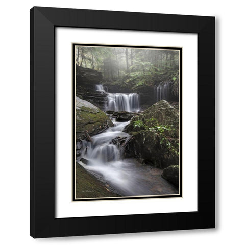 Ricketts Waterfall Black Modern Wood Framed Art Print with Double Matting by Deiter, Lori