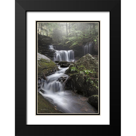 Ricketts Waterfall Black Modern Wood Framed Art Print with Double Matting by Deiter, Lori