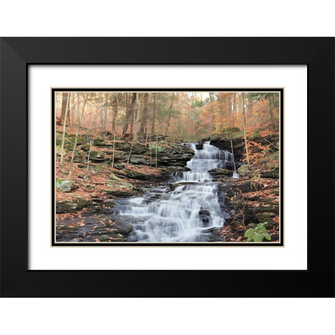 Waterfall Steps at Pigeon Run Black Modern Wood Framed Art Print with Double Matting by Deiter, Lori