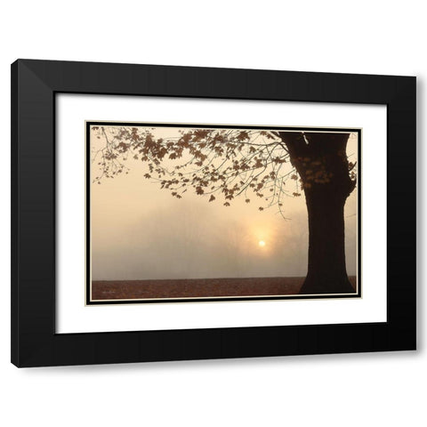 Foggy Morning Sunrise Black Modern Wood Framed Art Print with Double Matting by Deiter, Lori