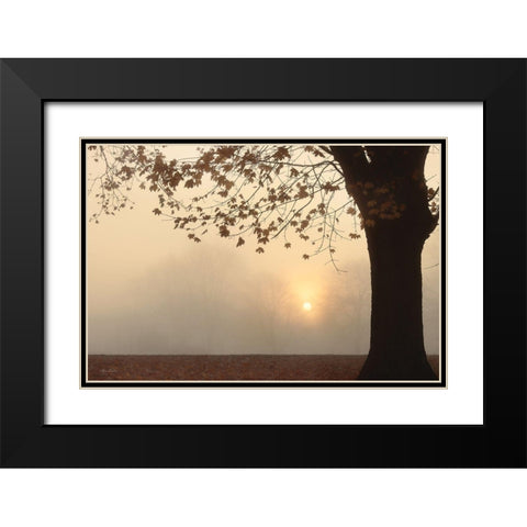 Foggy Morning Sunrise Black Modern Wood Framed Art Print with Double Matting by Deiter, Lori