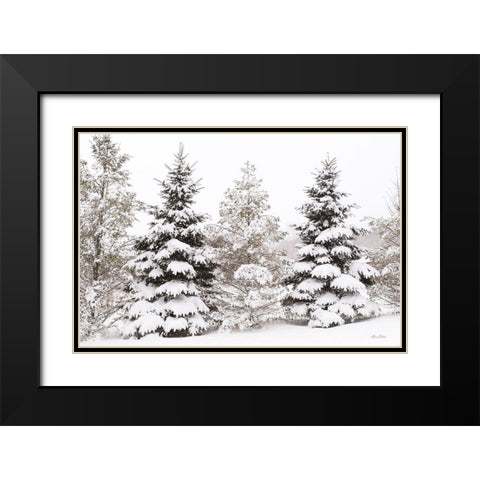 Snowy Pine Trees      Black Modern Wood Framed Art Print with Double Matting by Deiter, Lori