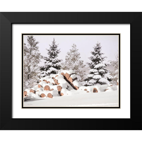 Snowy Logs     Black Modern Wood Framed Art Print with Double Matting by Deiter, Lori