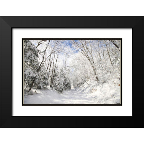 Winter Storm    Black Modern Wood Framed Art Print with Double Matting by Deiter, Lori