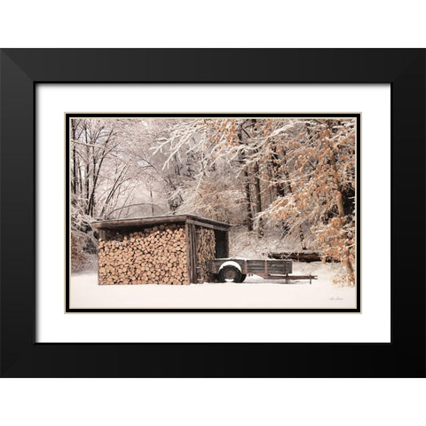 Firewood Shed    Black Modern Wood Framed Art Print with Double Matting by Deiter, Lori