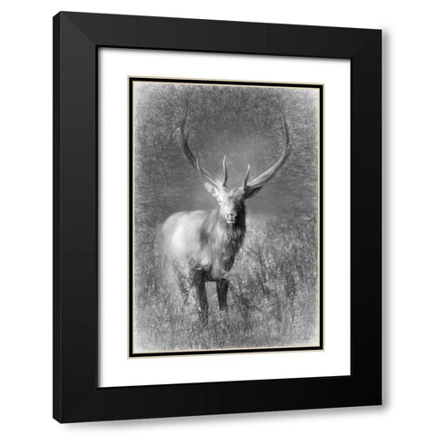 Elk Sketch   Black Modern Wood Framed Art Print with Double Matting by Deiter, Lori