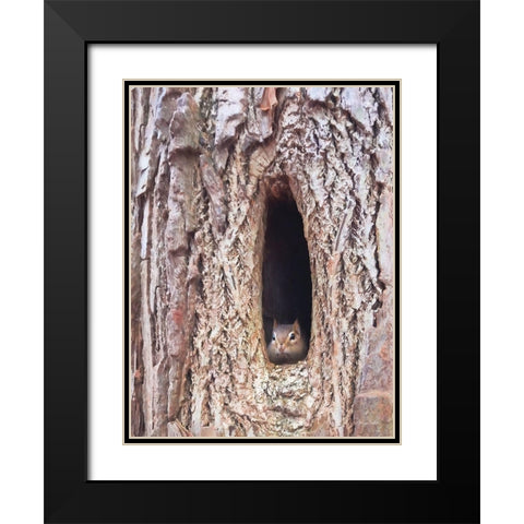 Is It Spring Yet?   Black Modern Wood Framed Art Print with Double Matting by Deiter, Lori