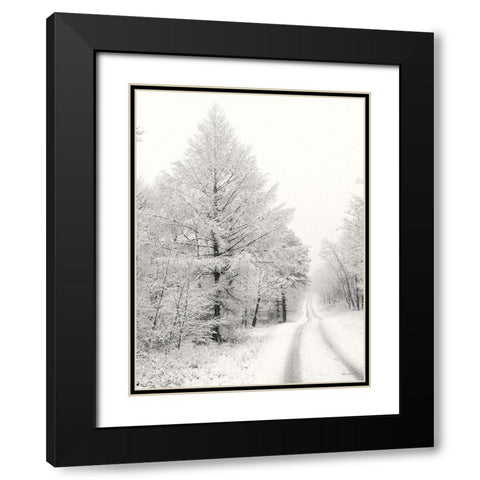 Berry Mountain Road    Black Modern Wood Framed Art Print with Double Matting by Deiter, Lori