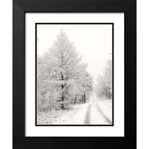 Berry Mountain Road    Black Modern Wood Framed Art Print with Double Matting by Deiter, Lori