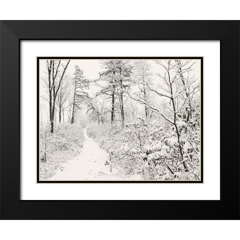 Winter Walk    Black Modern Wood Framed Art Print with Double Matting by Deiter, Lori