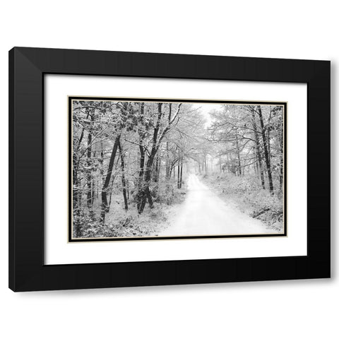 Snowy Lane   Black Modern Wood Framed Art Print with Double Matting by Deiter, Lori