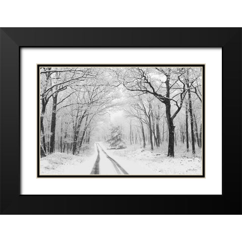 Wintry Road    Black Modern Wood Framed Art Print with Double Matting by Deiter, Lori