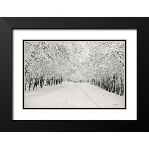 Snowbound Black Modern Wood Framed Art Print with Double Matting by Deiter, Lori