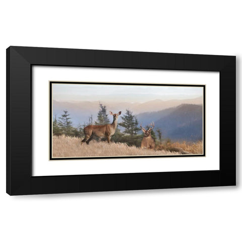 Cascade Mountain Deer Black Modern Wood Framed Art Print with Double Matting by Deiter, Lori