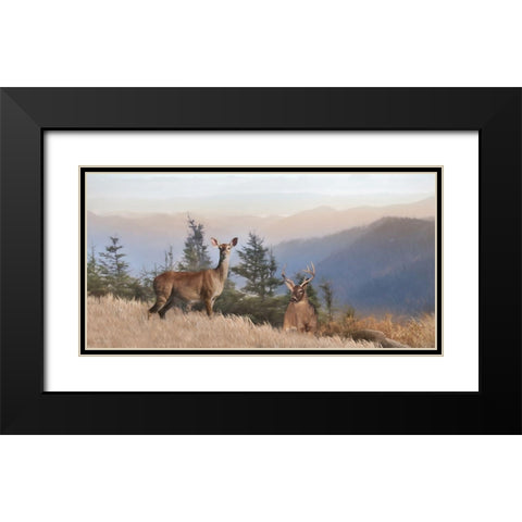 Cascade Mountain Deer Black Modern Wood Framed Art Print with Double Matting by Deiter, Lori