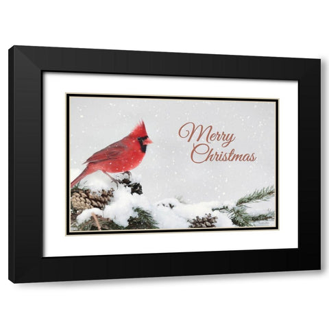 Merry Christmas Cardinal Black Modern Wood Framed Art Print with Double Matting by Deiter, Lori