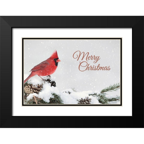 Merry Christmas Cardinal Black Modern Wood Framed Art Print with Double Matting by Deiter, Lori