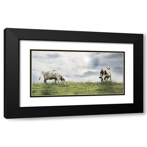 Grazing Dairy Cattle Black Modern Wood Framed Art Print with Double Matting by Deiter, Lori