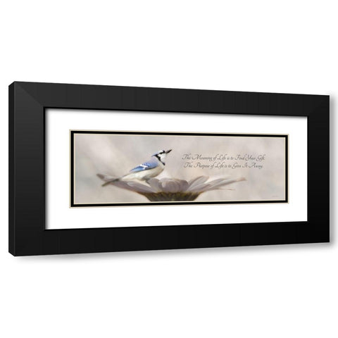 Meaning of Life Black Modern Wood Framed Art Print with Double Matting by Deiter, Lori