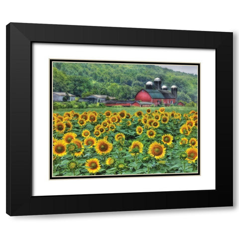Sunflower Farm Black Modern Wood Framed Art Print with Double Matting by Deiter, Lori