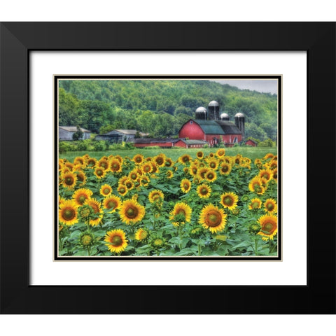 Sunflower Farm Black Modern Wood Framed Art Print with Double Matting by Deiter, Lori