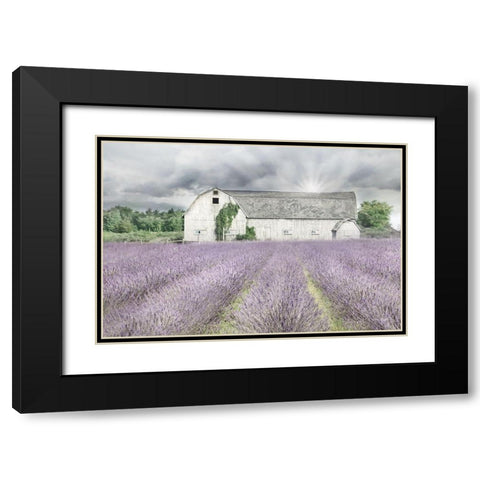 Shades of Lavender and Gray Black Modern Wood Framed Art Print with Double Matting by Deiter, Lori