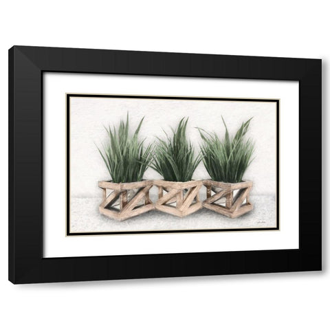 Planter Trio Black Modern Wood Framed Art Print with Double Matting by Deiter, Lori