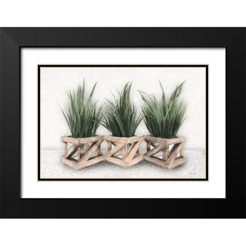 Planter Trio Black Modern Wood Framed Art Print with Double Matting by Deiter, Lori