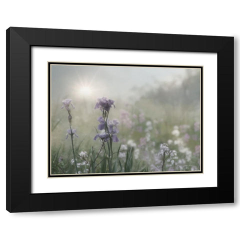 Spring Bling Black Modern Wood Framed Art Print with Double Matting by Deiter, Lori