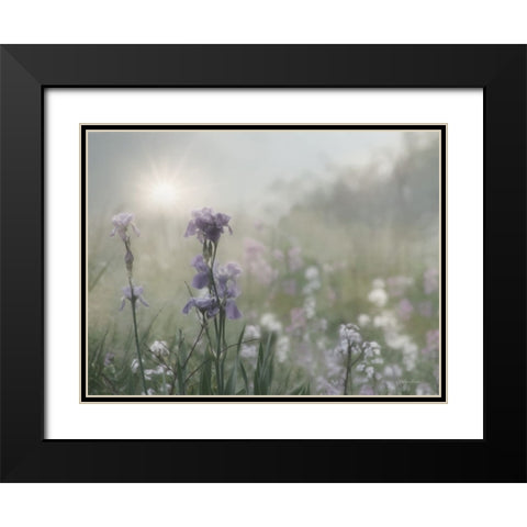 Spring Bling Black Modern Wood Framed Art Print with Double Matting by Deiter, Lori
