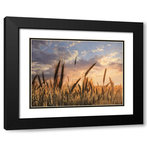Summer Field Black Modern Wood Framed Art Print with Double Matting by Deiter, Lori