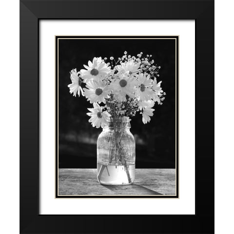 Morning Daisies II Black Modern Wood Framed Art Print with Double Matting by Deiter, Lori